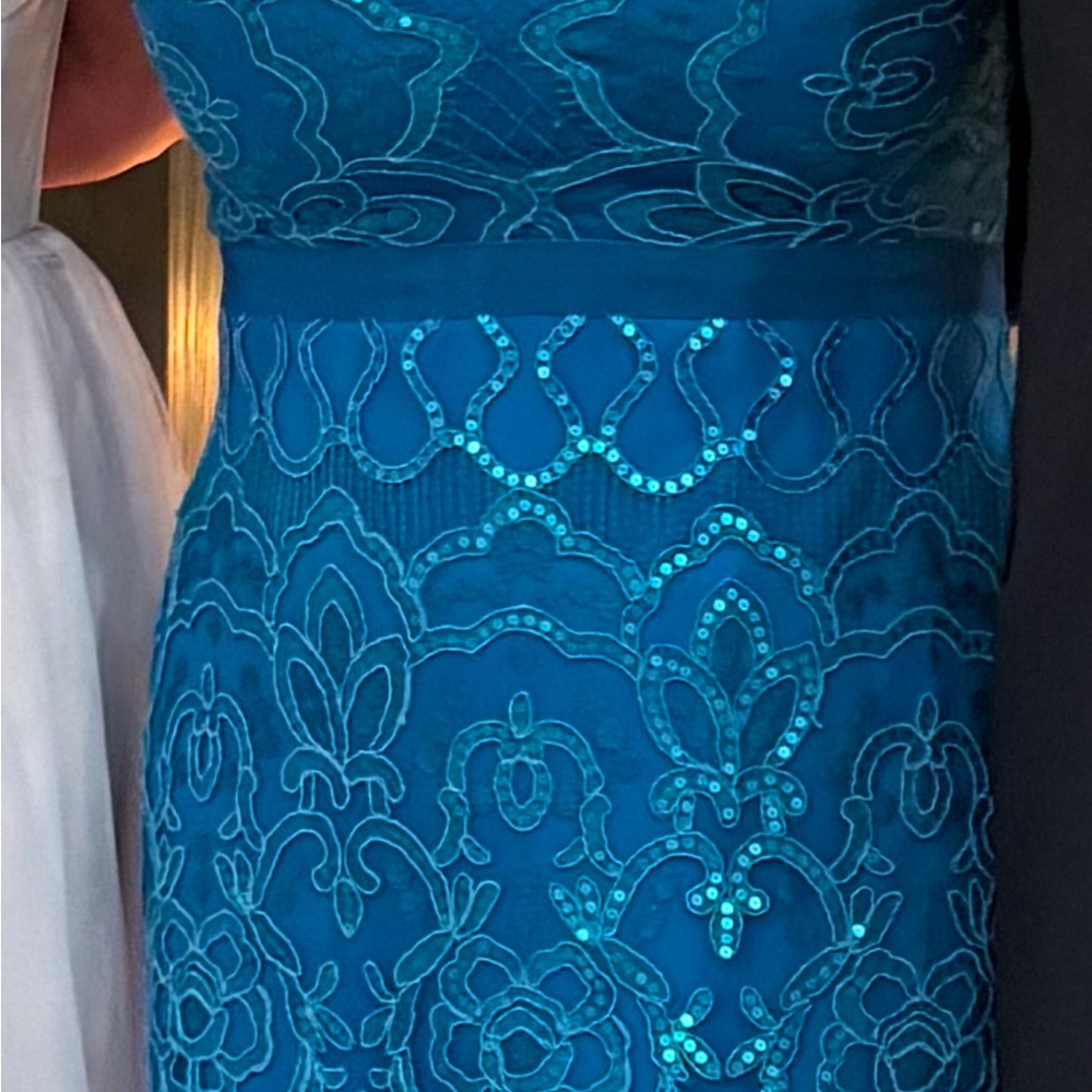Tadashi shoji beautiful almost new lacy with sequins dress